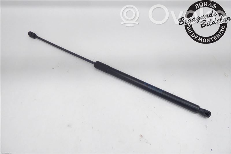 Tailgate strut   1683644,6M21R406A10CD