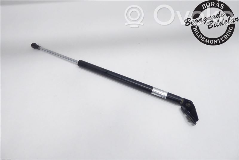 Tailgate strut   EG2163620D