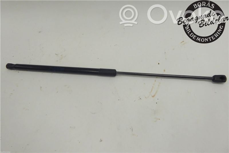 Tailgate strut   904520004R,654712943R