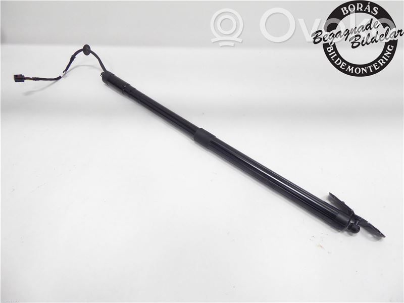 Ford C-MAX II Tailgate strut 