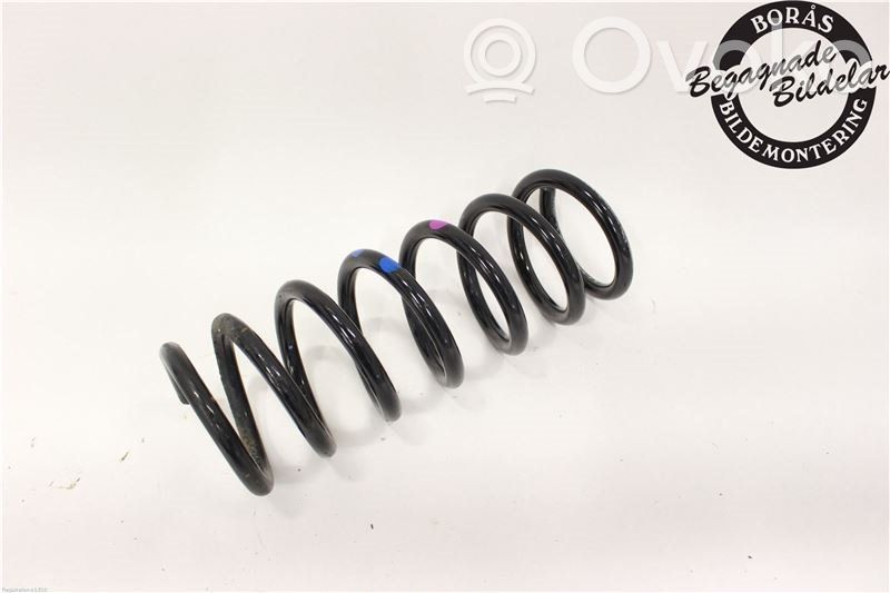 Rear coil spring   2015839
