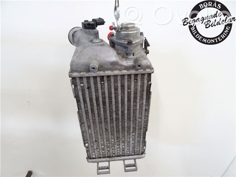 Intercooler radiator   282712B710