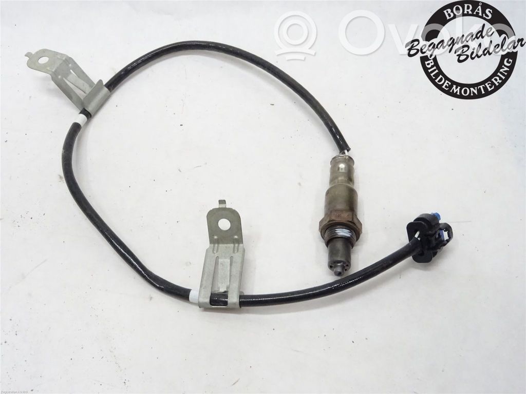 Lambda probe sensor   2432225,LX619G444BB,LX619G444BB