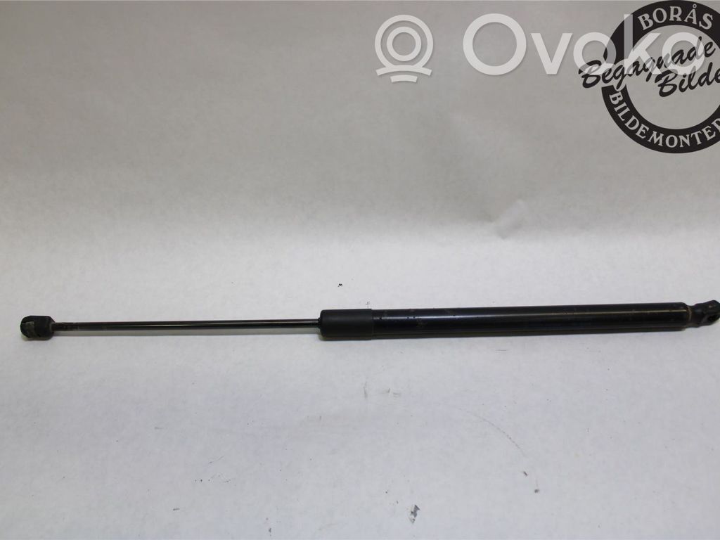 Tailgate strut   1683644