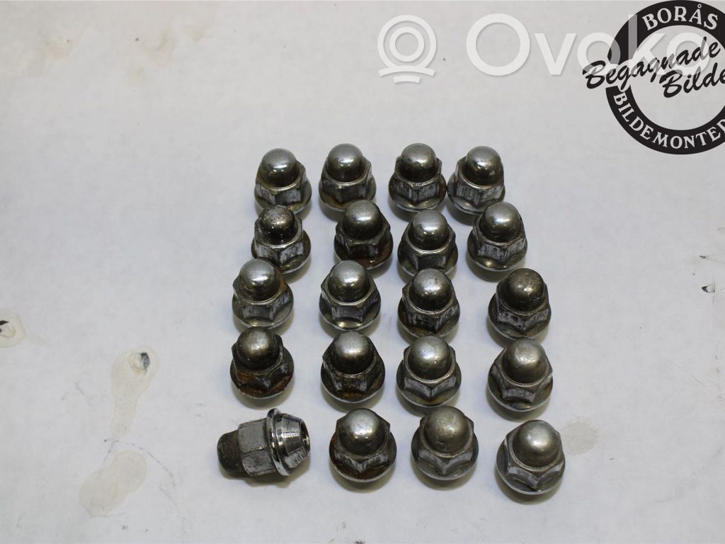 Tuercas/tornillos   529503Y000