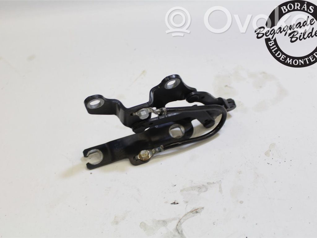 Scharnier Motorhaube   41617210677