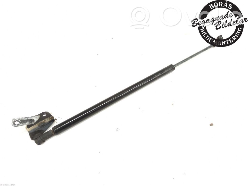 Tailgate strut   D10E63620B