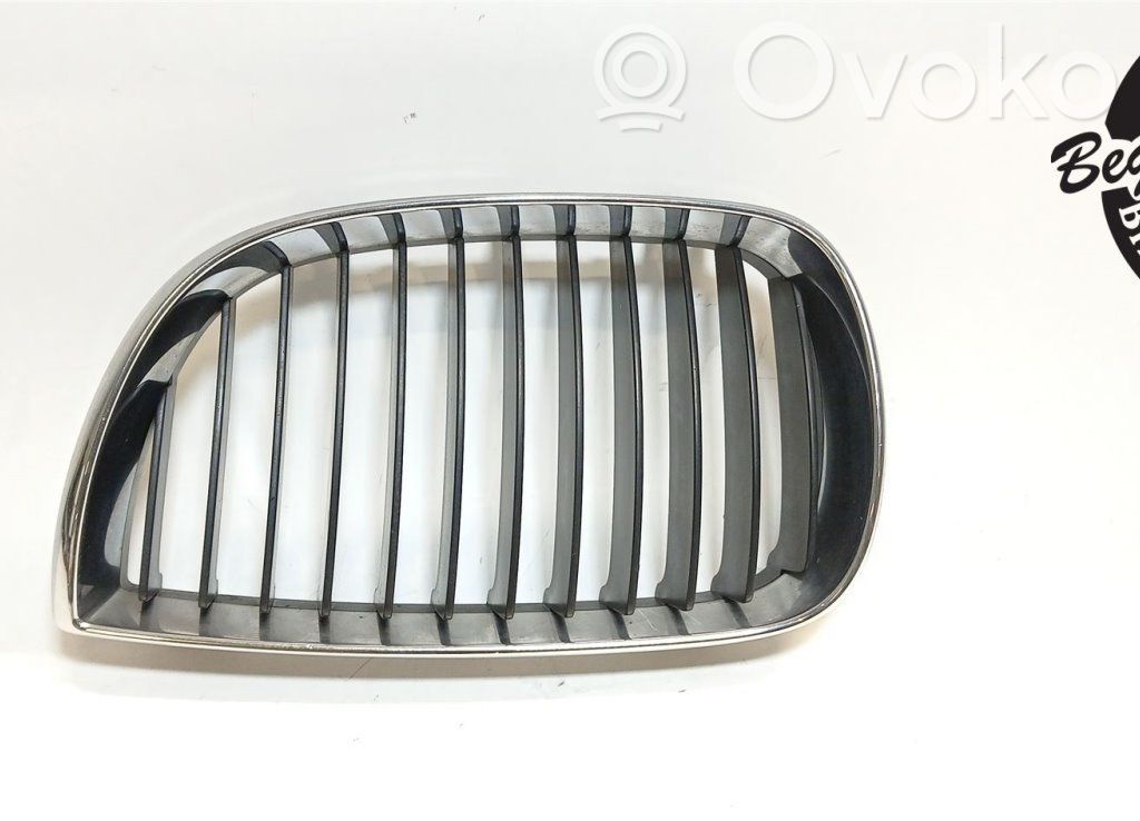 Front bumper lower grill   51137128613