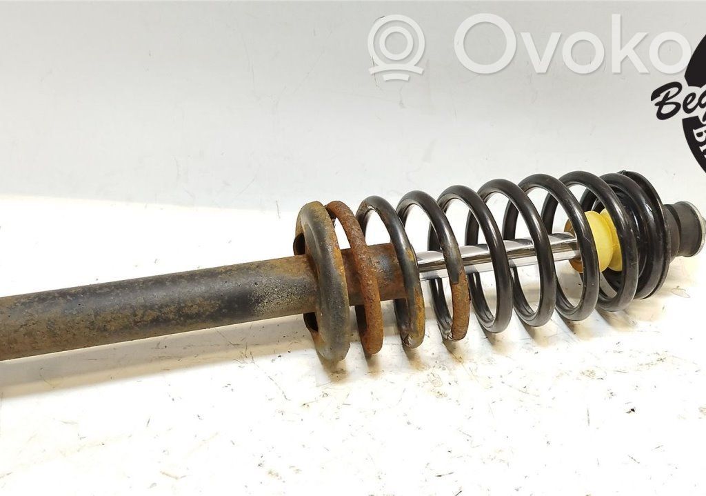 Front shock absorber with coil spring