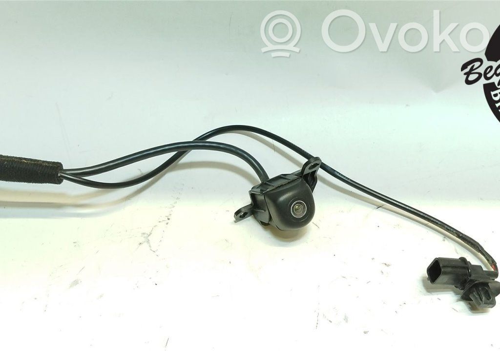 Reversing camera   99240J7100