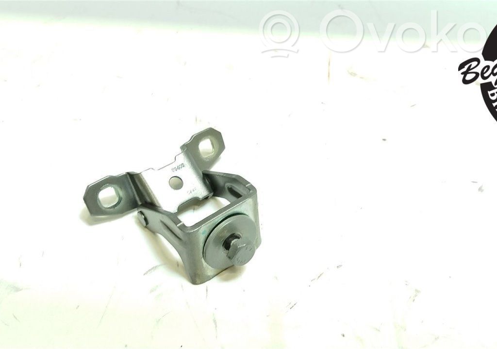 Tailgate/trunk/boot hinge   52024838