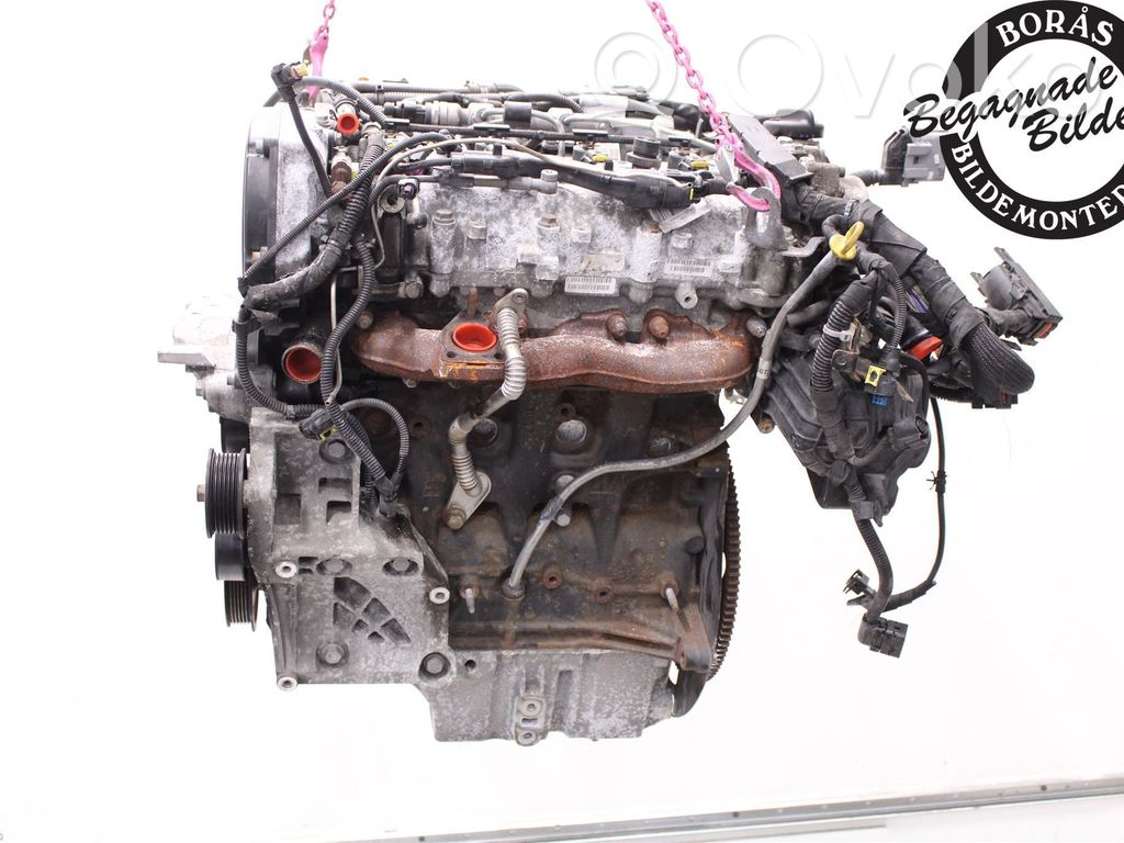 Motor   55593976