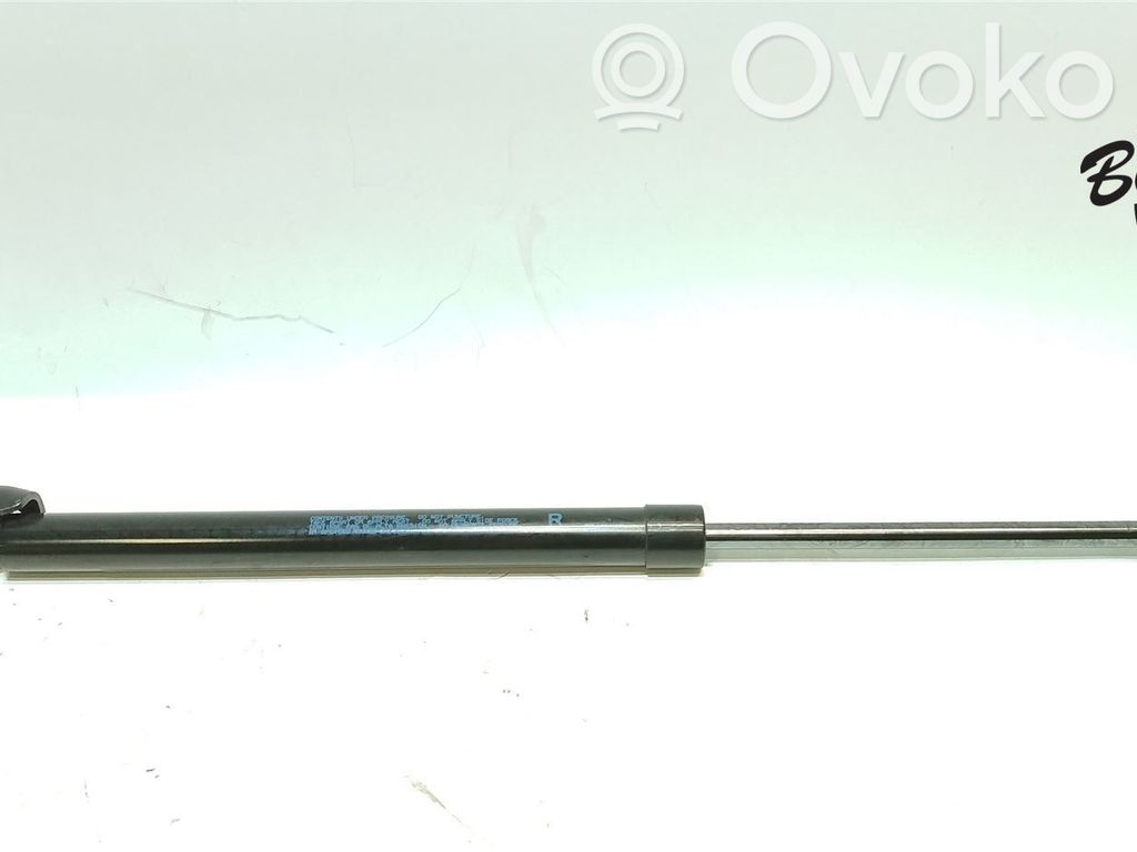 Tailgate strut   5802A666