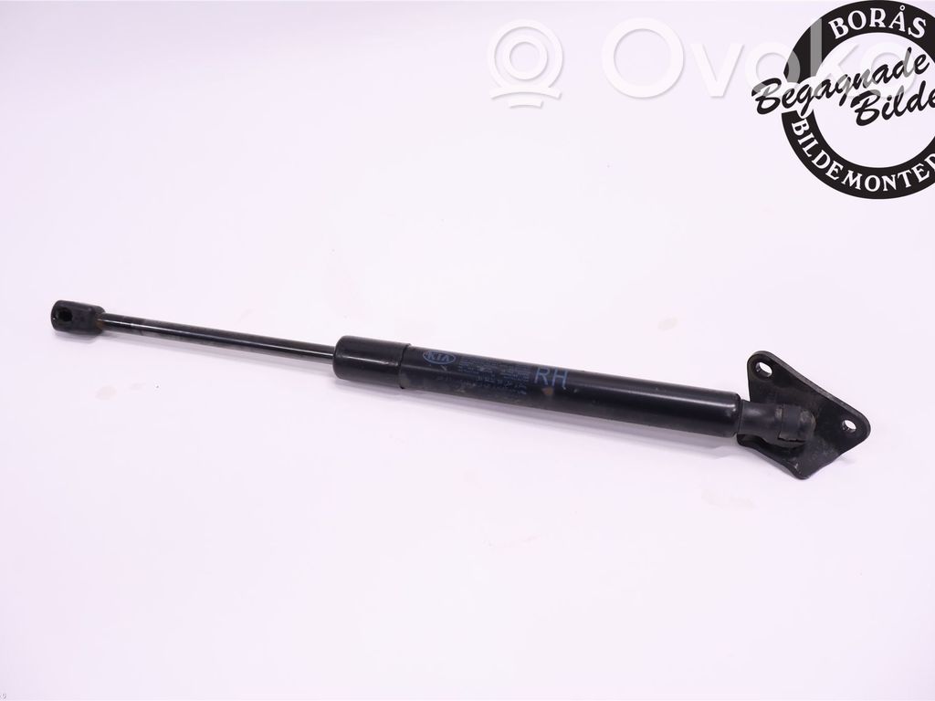 Tailgate strut   817801H522