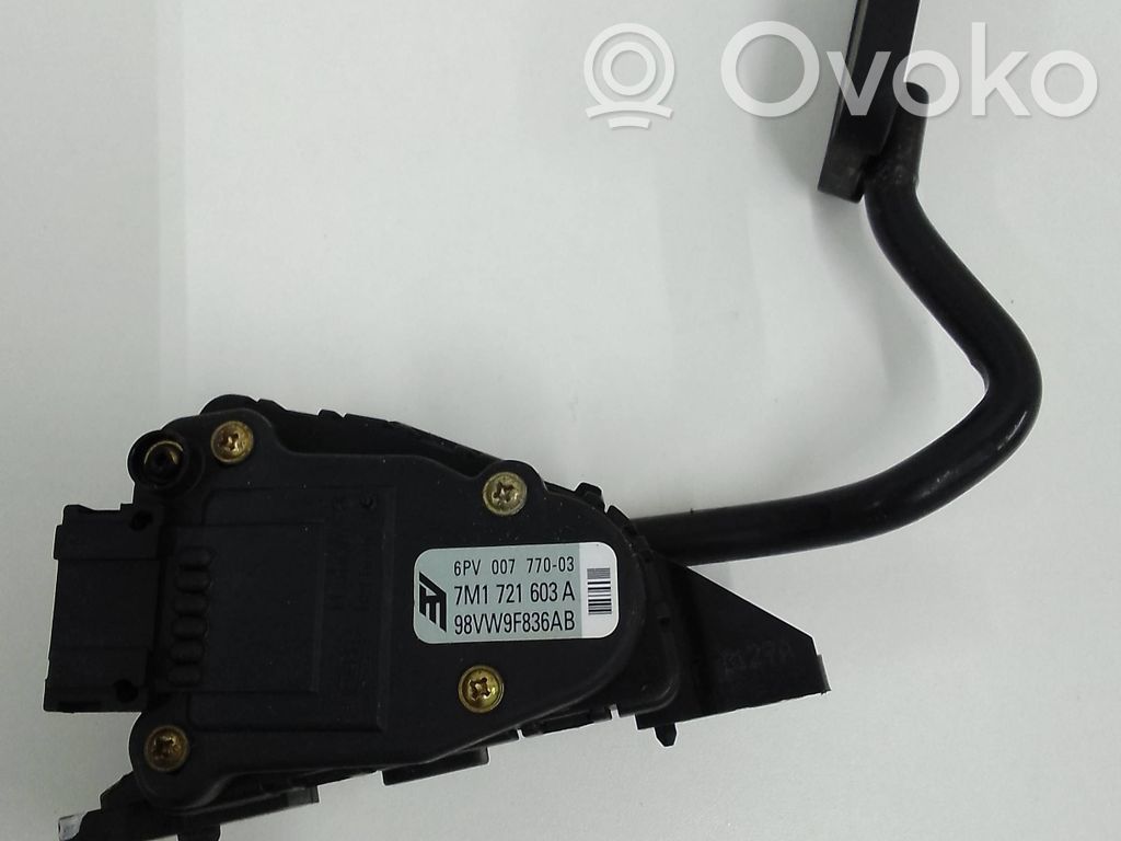 Kaasupoljin   7M1721603A