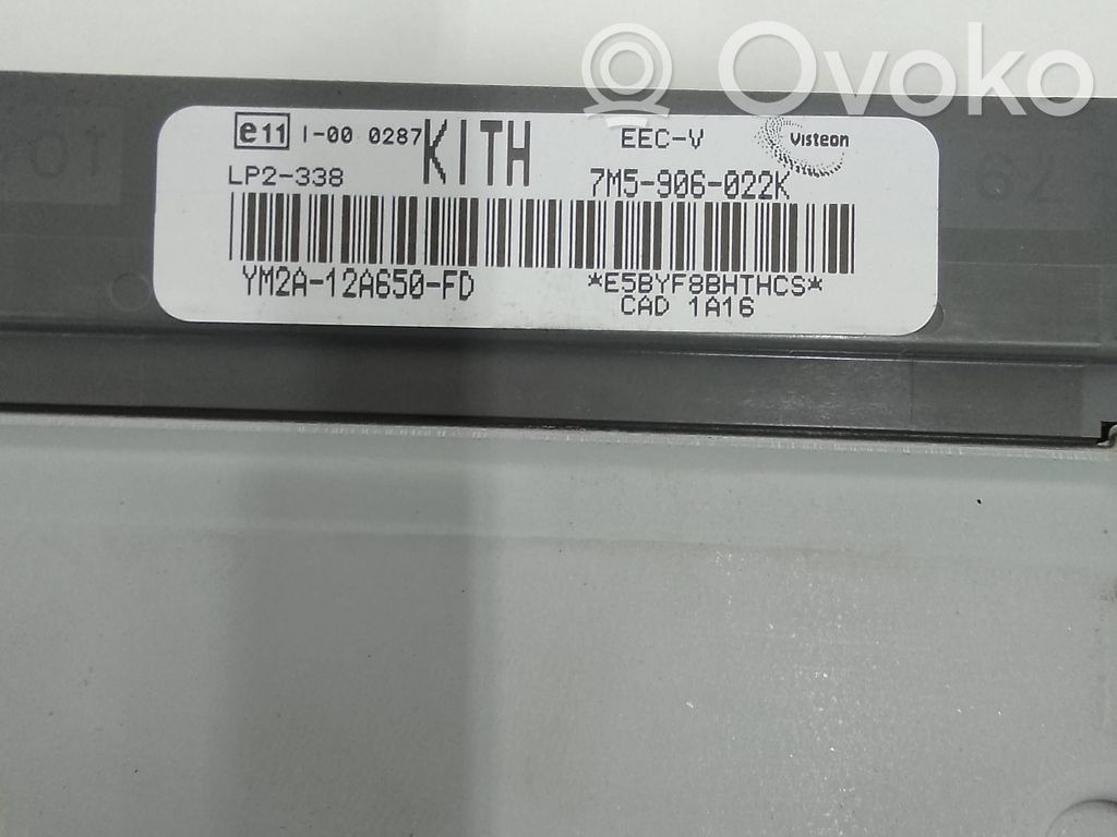 Ford Galaxy Engine control unit/module 