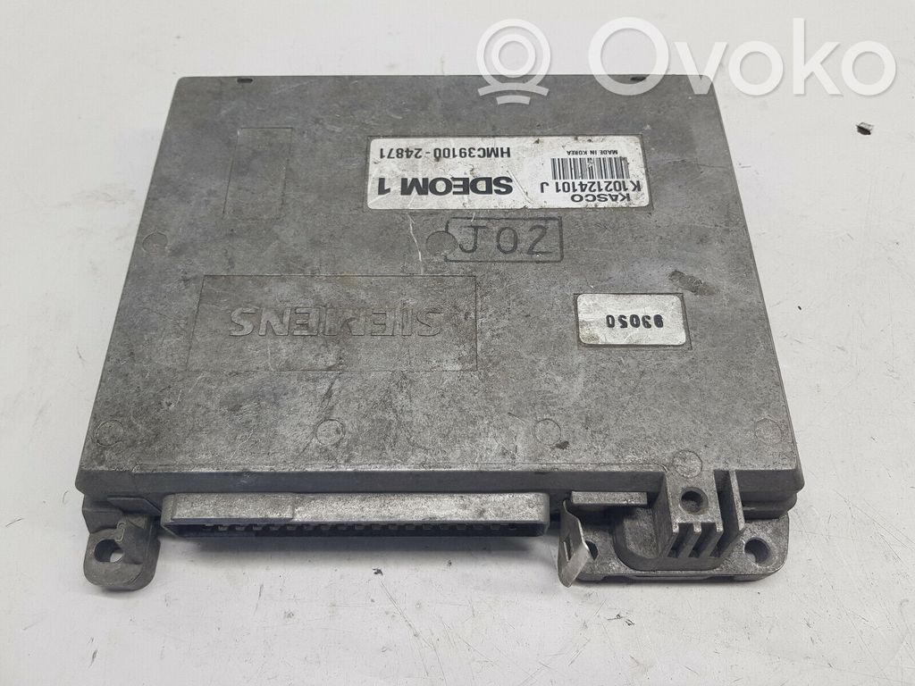 Hyundai Lantra I Engine control unit/module 