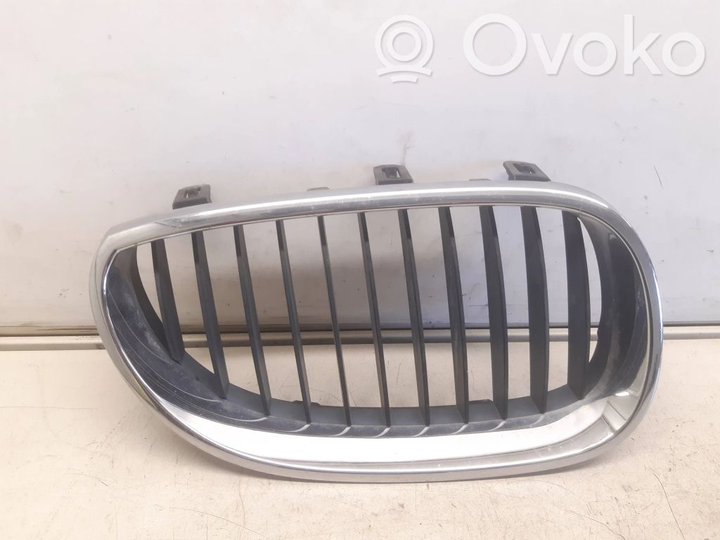 BMW 5 E60 E61 Front grill 