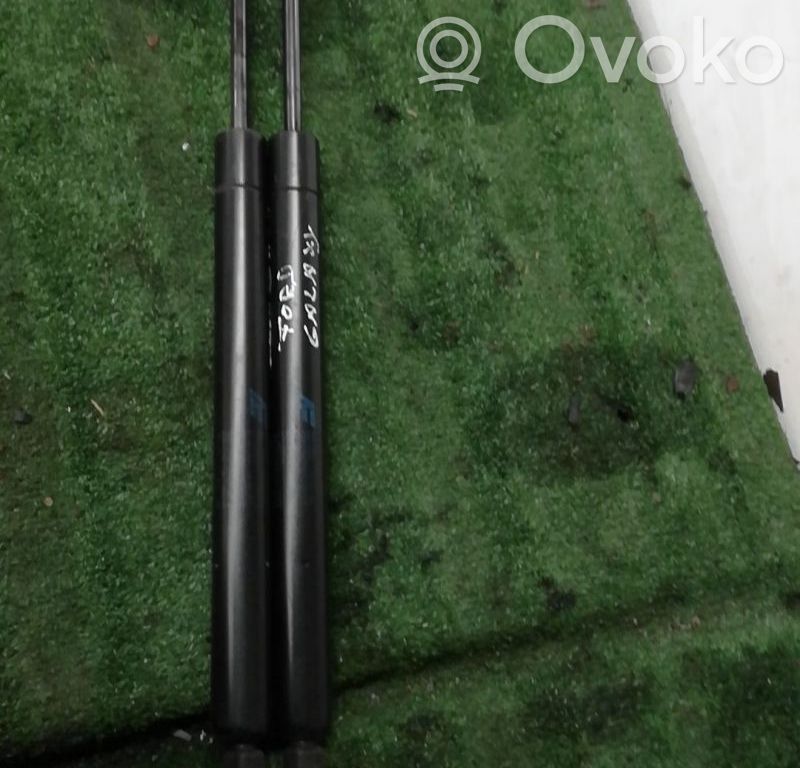 Tailgate/trunk strut/damper