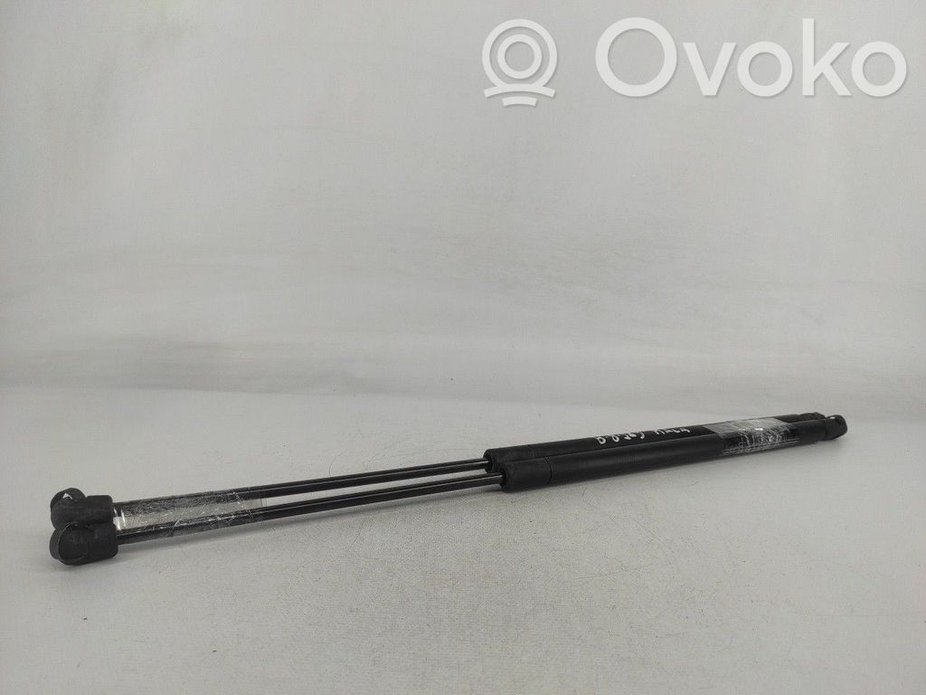 Tailgate/trunk strut/damper   252064