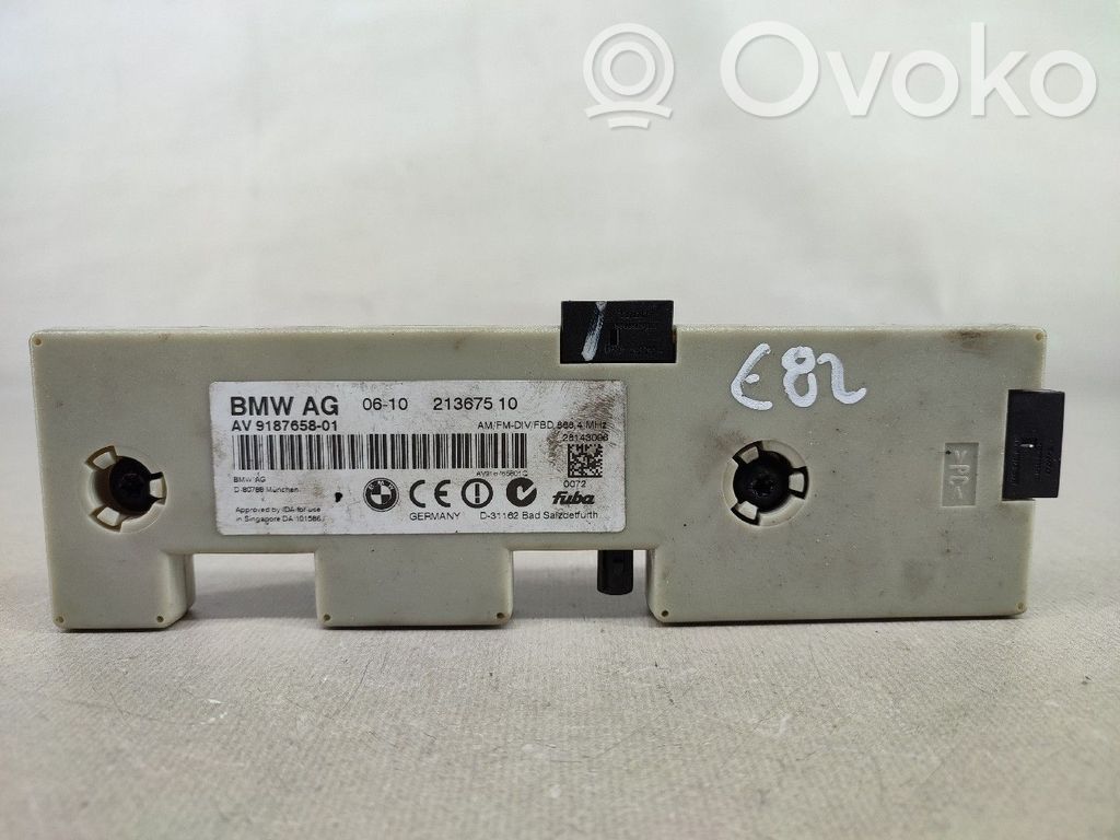 Dzinēja vadības bloks   AV918765801,21367510