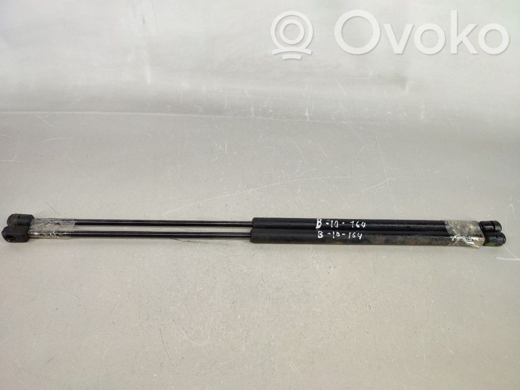 Tailgate/trunk strut/damper