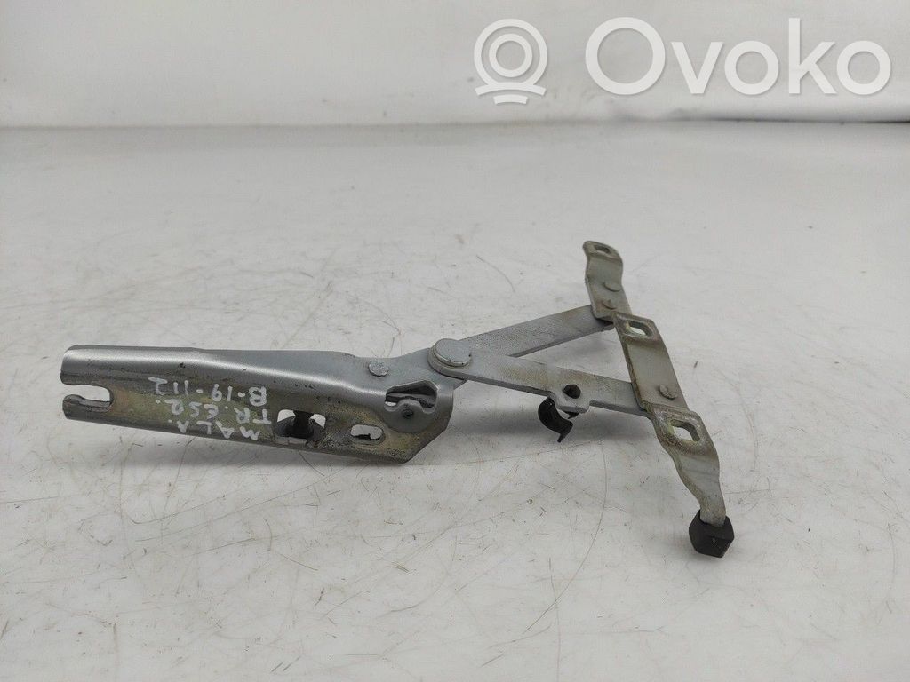 Tailgate hinge   ESQUERDA,41628397327