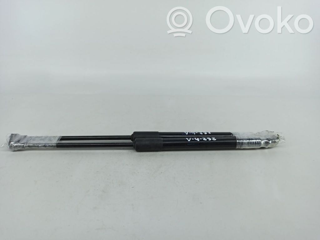 Tailgate/trunk strut/damper   904516026R,1869200565N