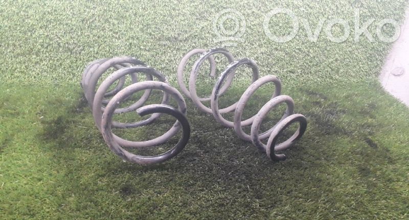 Muelle espiral trasero   FRENTE