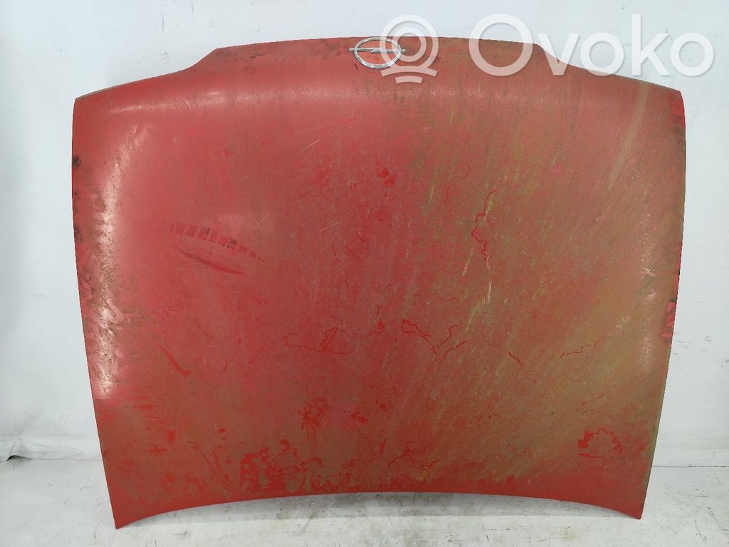 Engine bonnet/hood