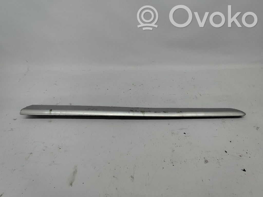 Citroen Xsara Rivestimento della portiera anteriore (modanatura) 