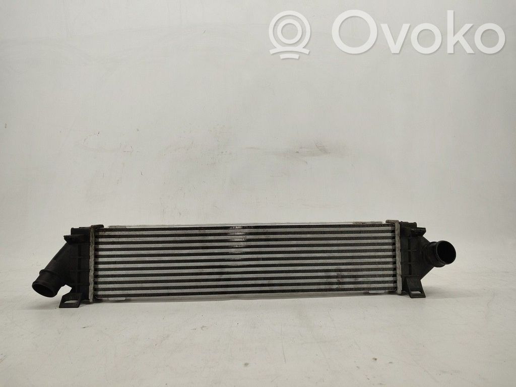 Intercooler radiator   6G919L440
