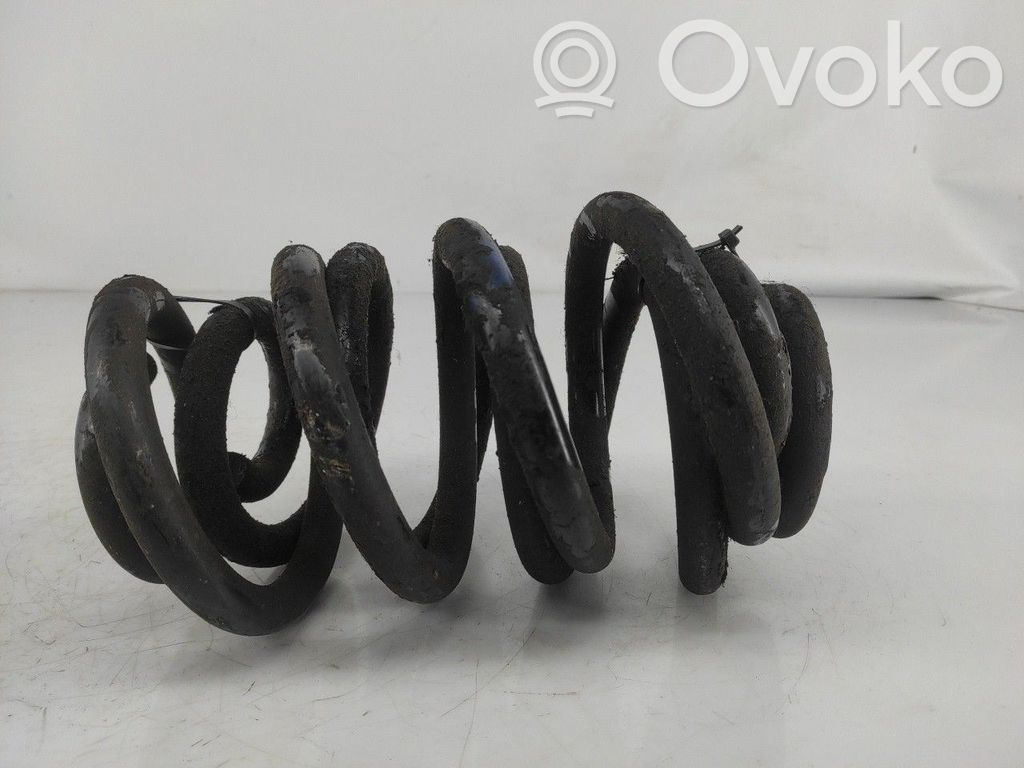 Front coil spring