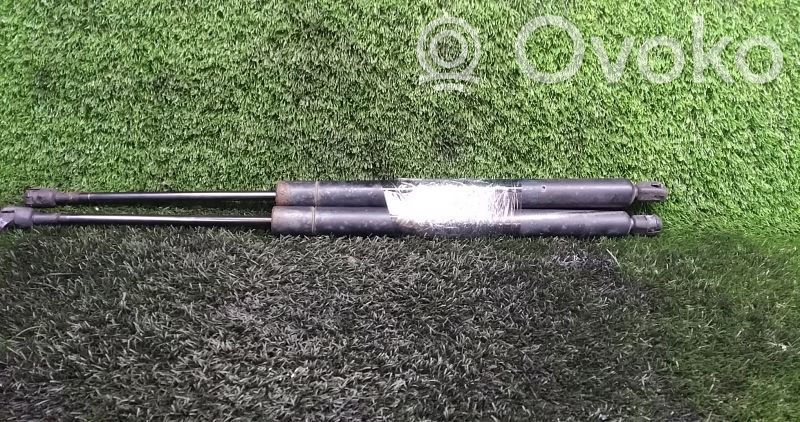 Tailgate/trunk strut/damper