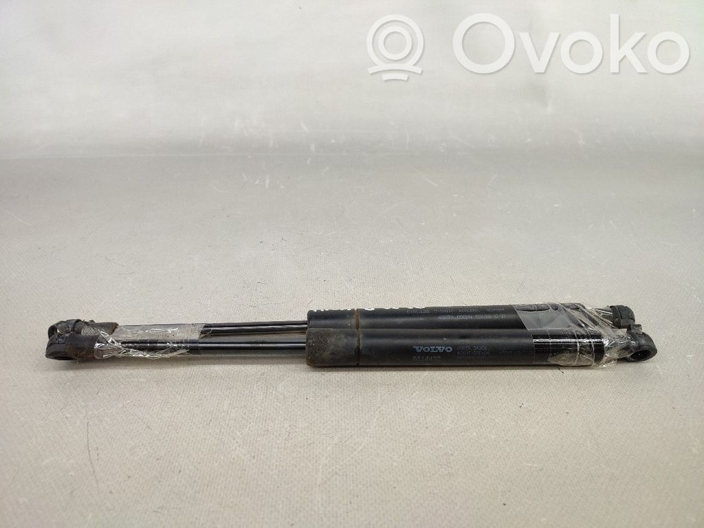 Tailgate/trunk strut/damper   8614432
