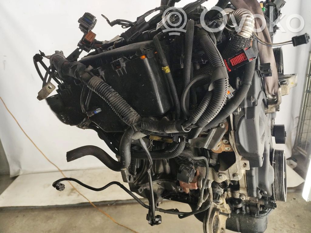 Motor   9HZ