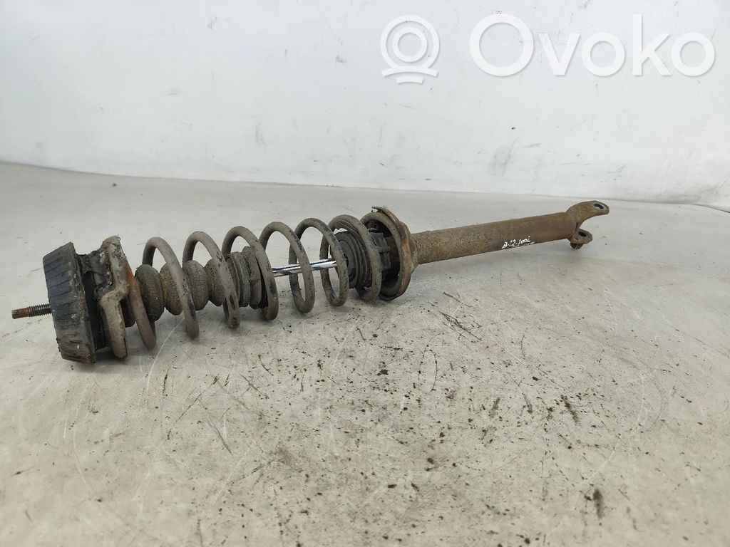 Stoßdämpfer hinten