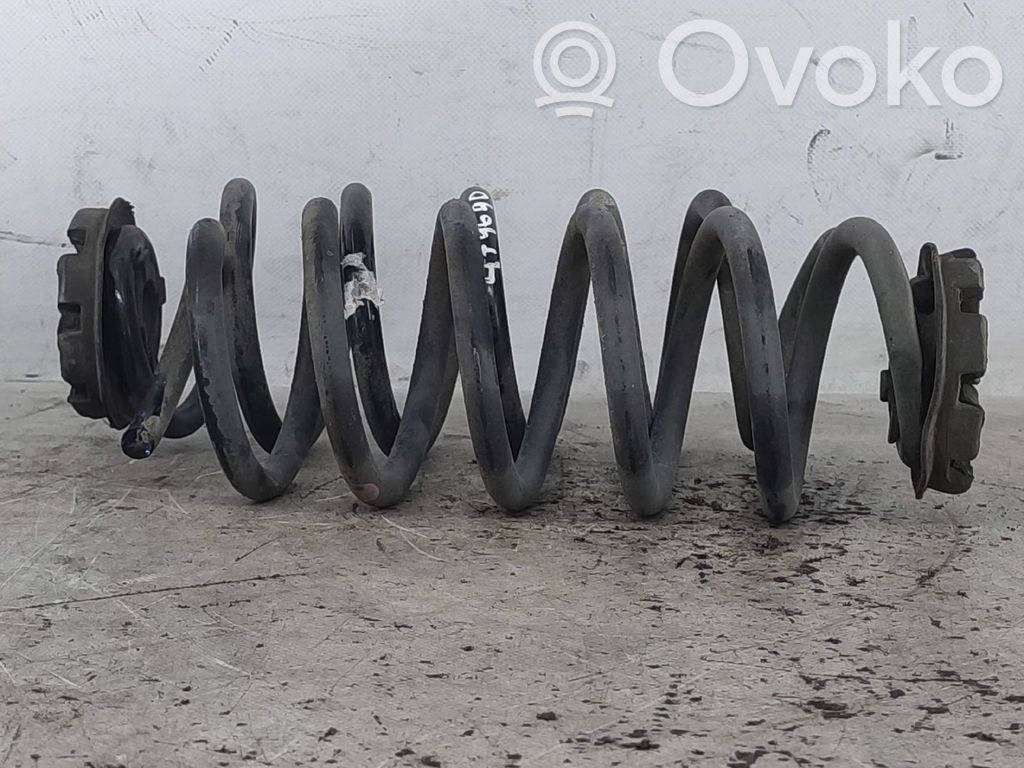 Rear coil spring   550201983R,550204832R,550208515R