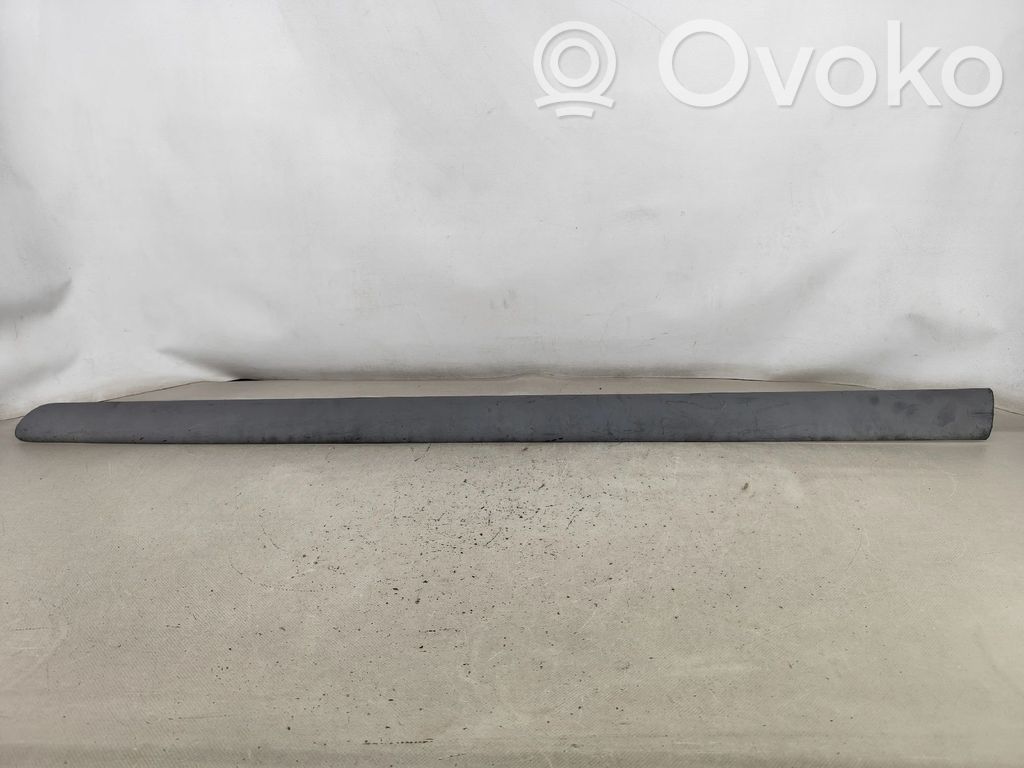 Listwa drzwi przednich   DGC102810LH