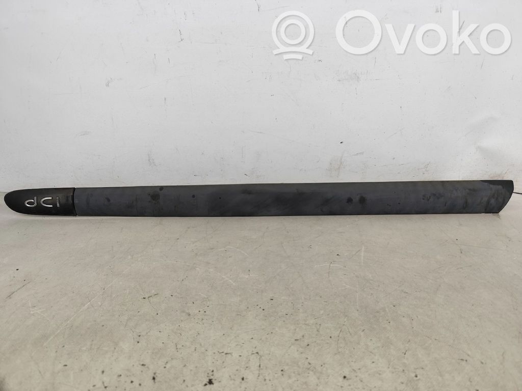 Renault Clio II Listón embellecedor de la puerta delantera (moldura) 