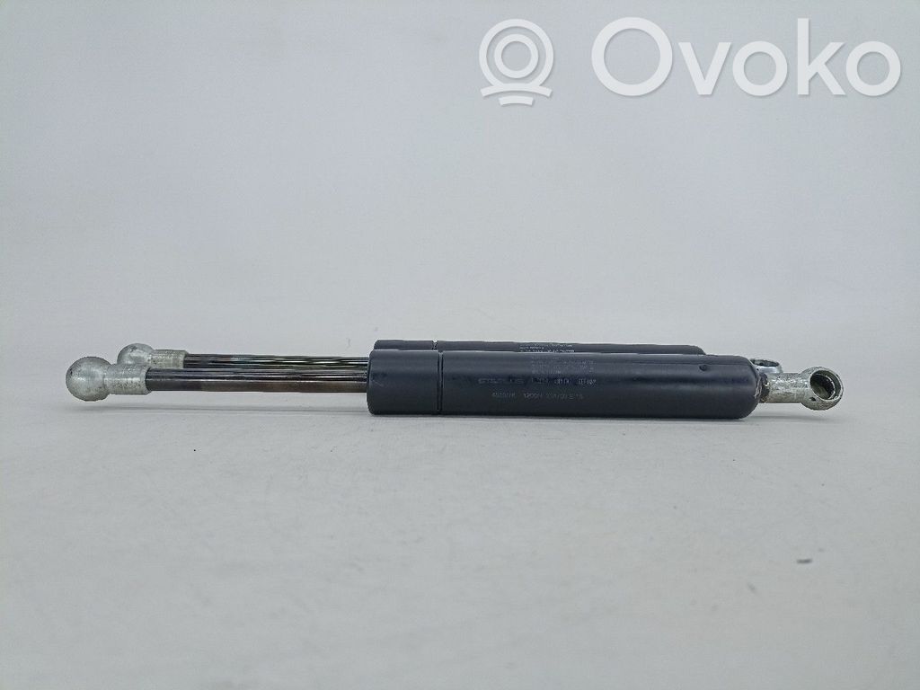 Tailgate/trunk strut/damper   4889NK,8643038