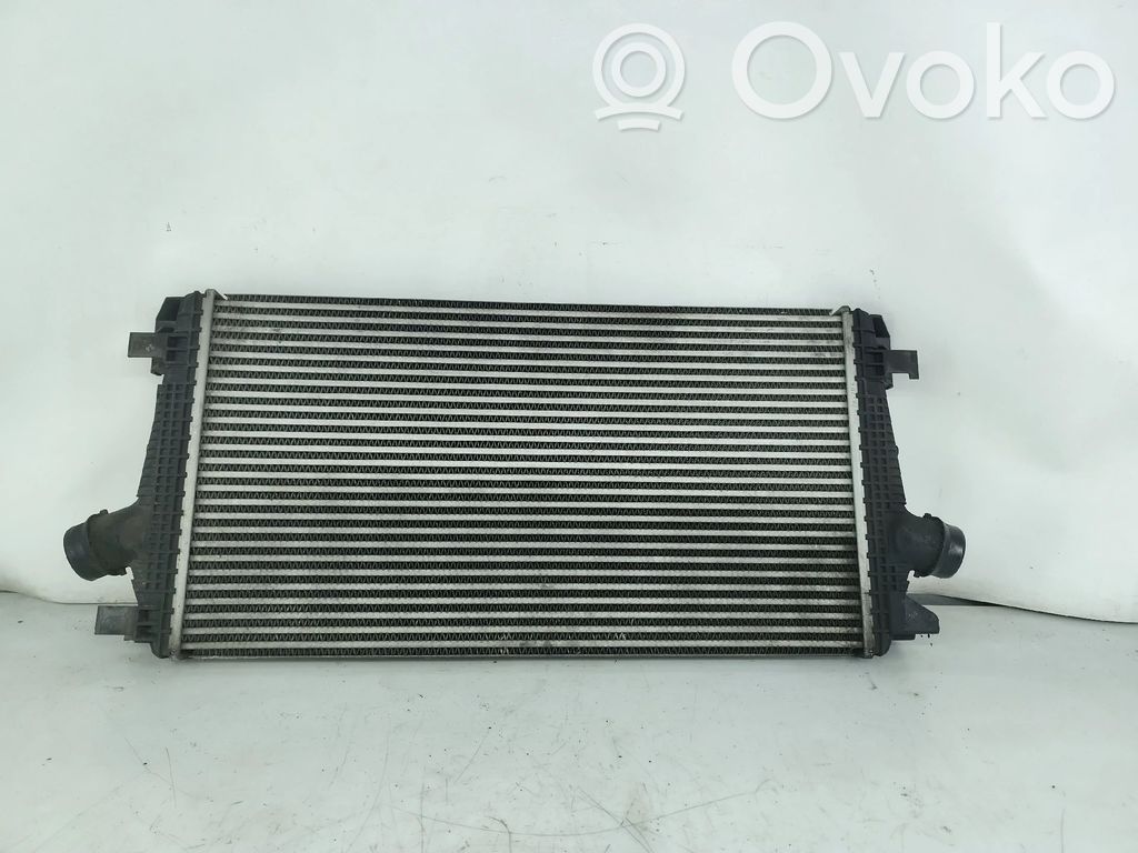 Radiatore di raffreddamento   13267647
