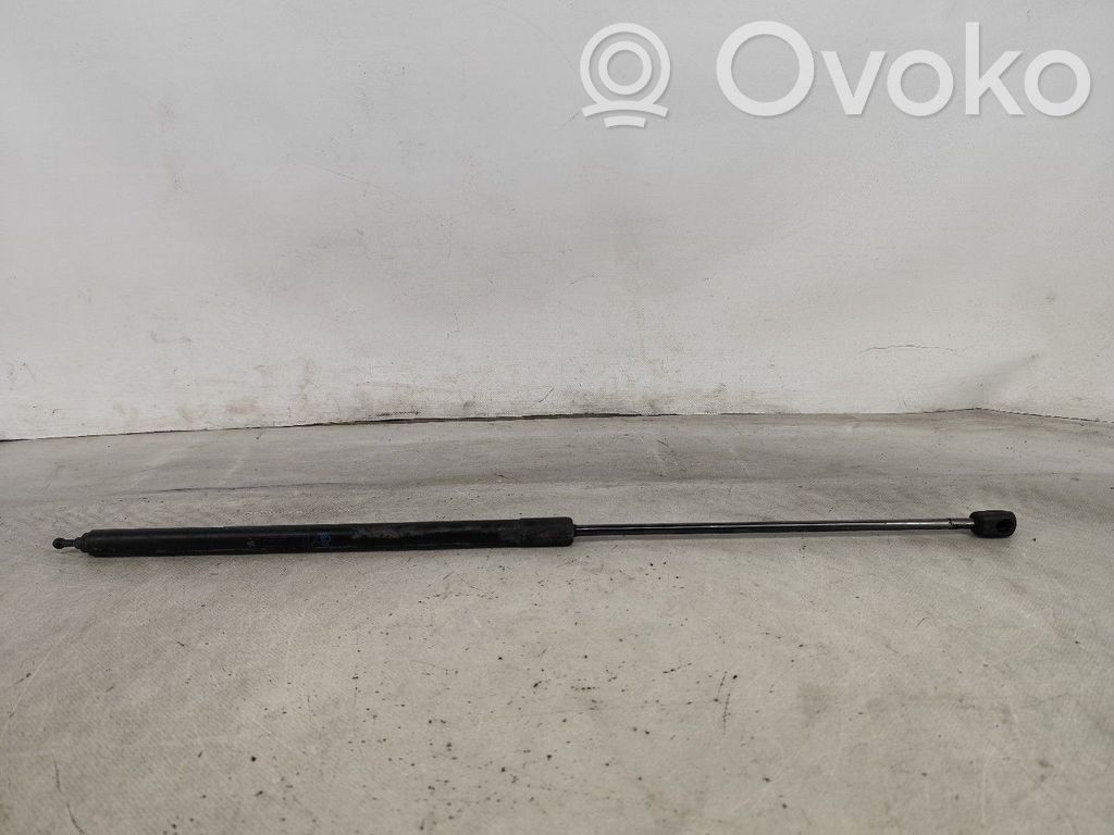 Renault Megane III Ammortizzatore portellone anteriore/cofano 