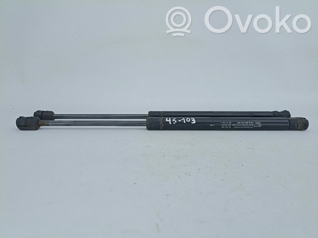 Chevrolet Aveo Amortizor hayon 