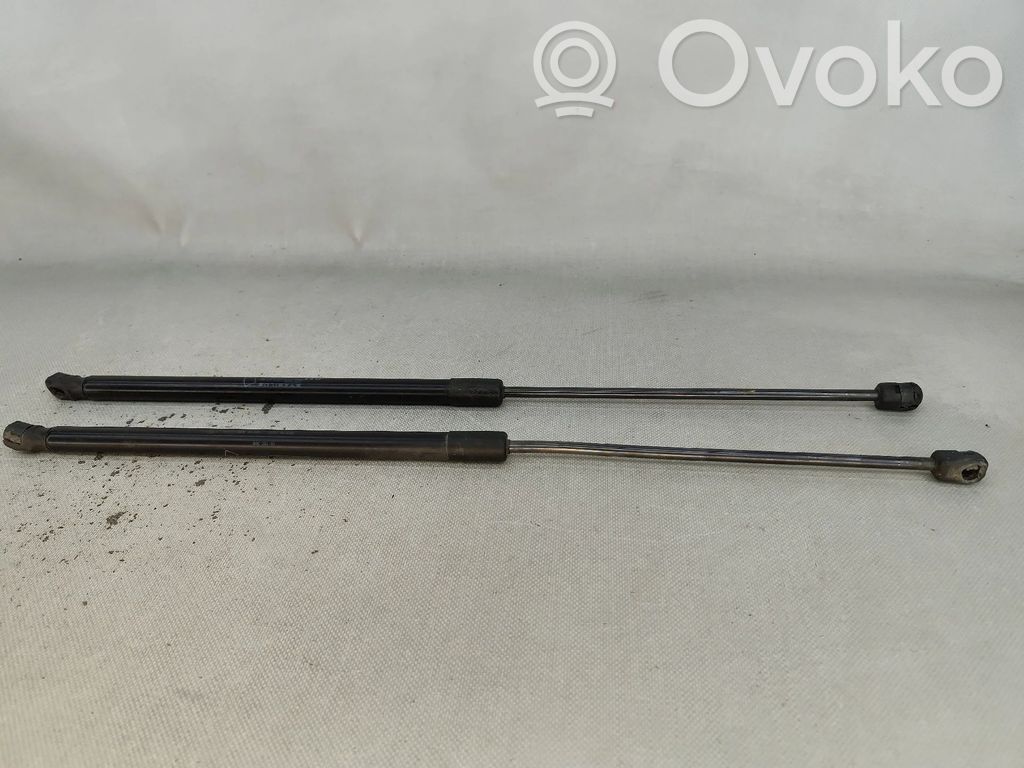 Tailgate/trunk strut/damper   13182309