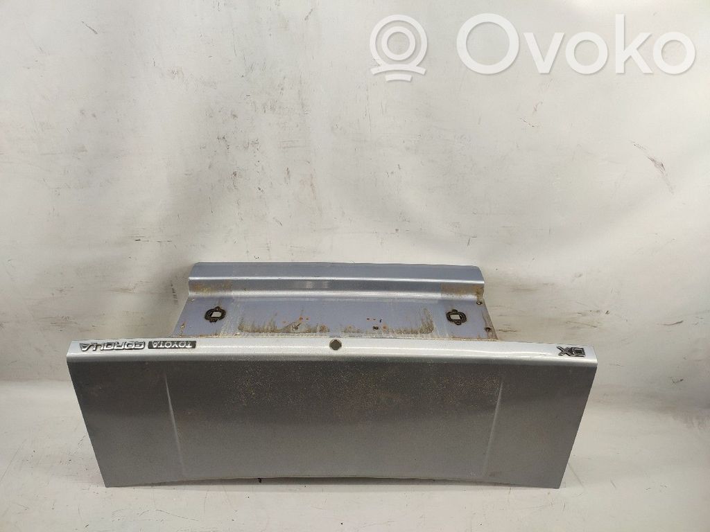 Tailgate/trunk/boot lid