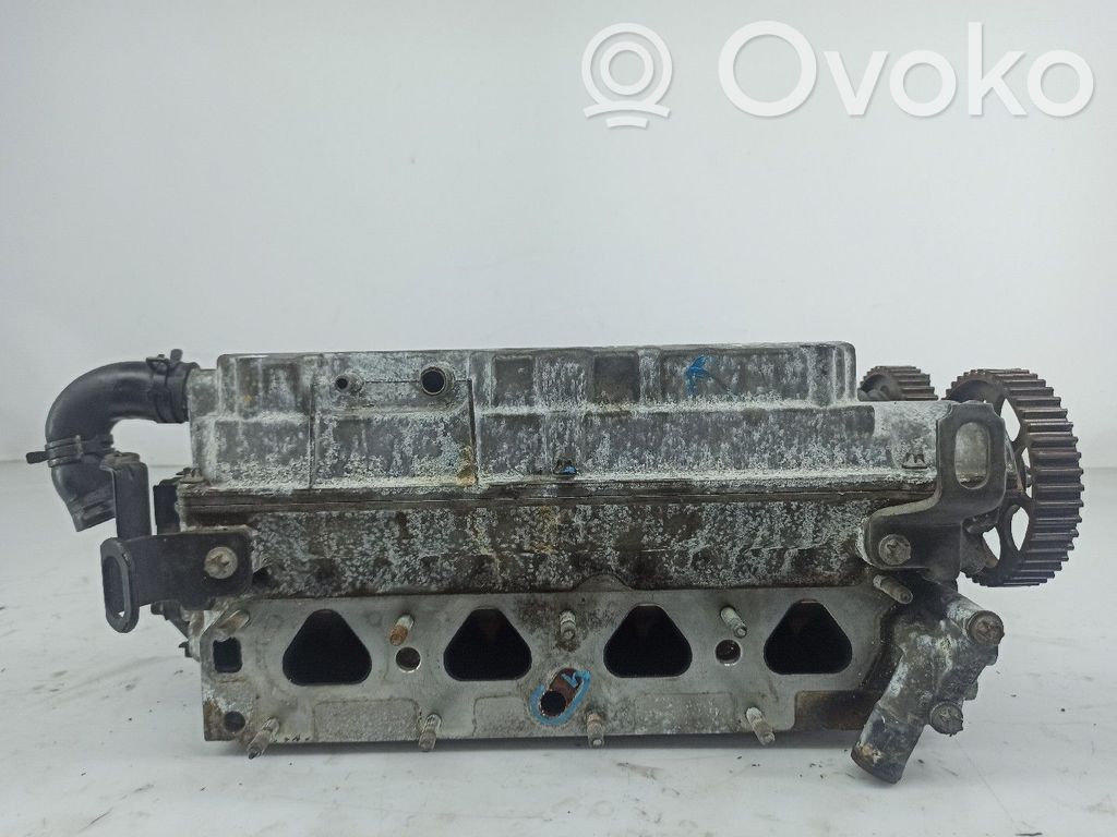 Galvutė   R90400187