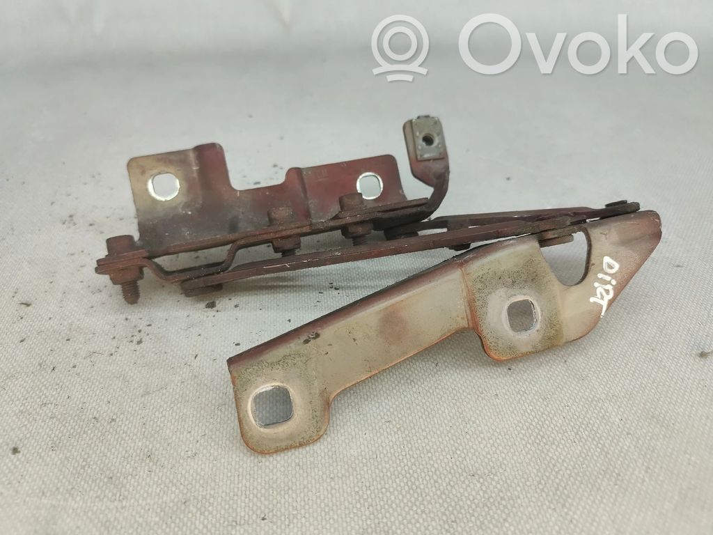 Opel Insignia A Cerniere del vano motore/cofano 