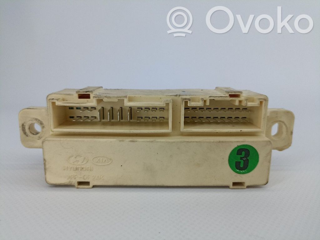 Sterownik / Moduł ECU   919402H130