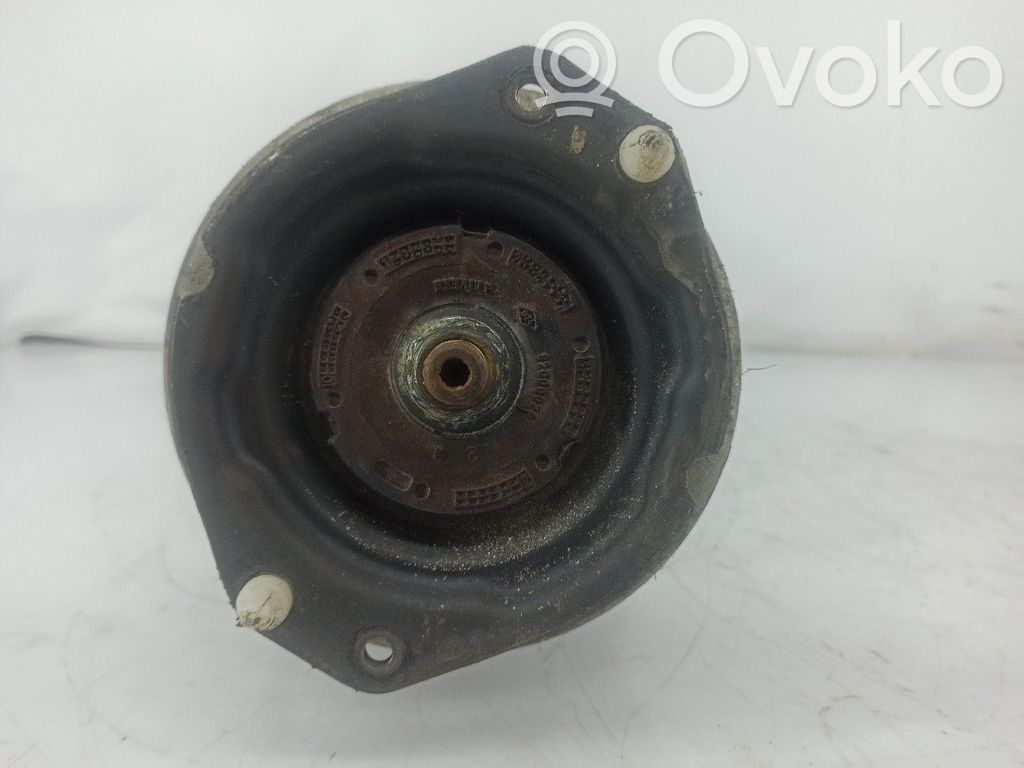 Amortiguador delantero   423093JP